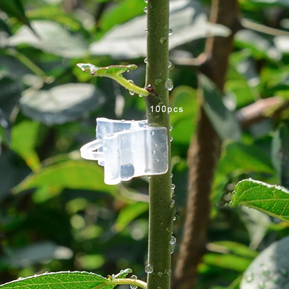 100PCS Transparent Plant Grafting Clips Mini Size 2.0-4.5mm Seedlings Seedling Grafting Clips Clear Material PE