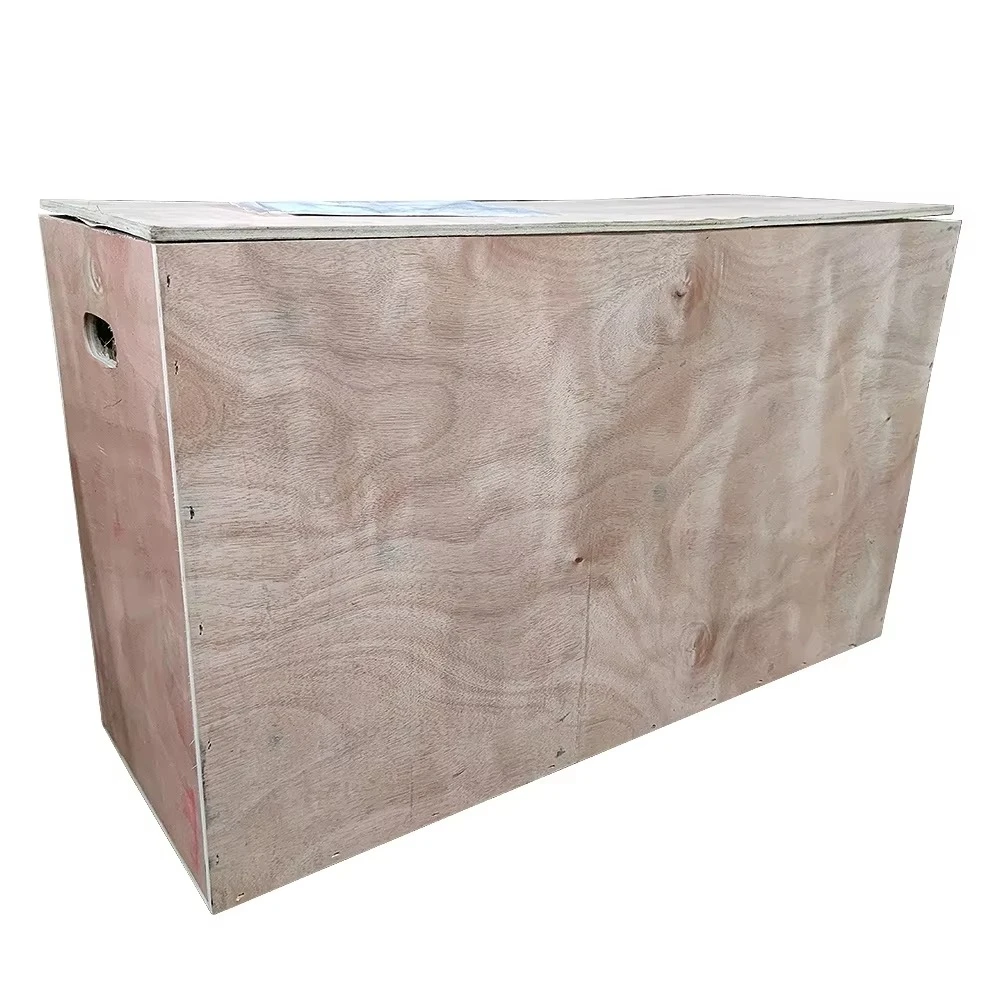 Pompa manuale idraulica a doppia azione per uso industriale