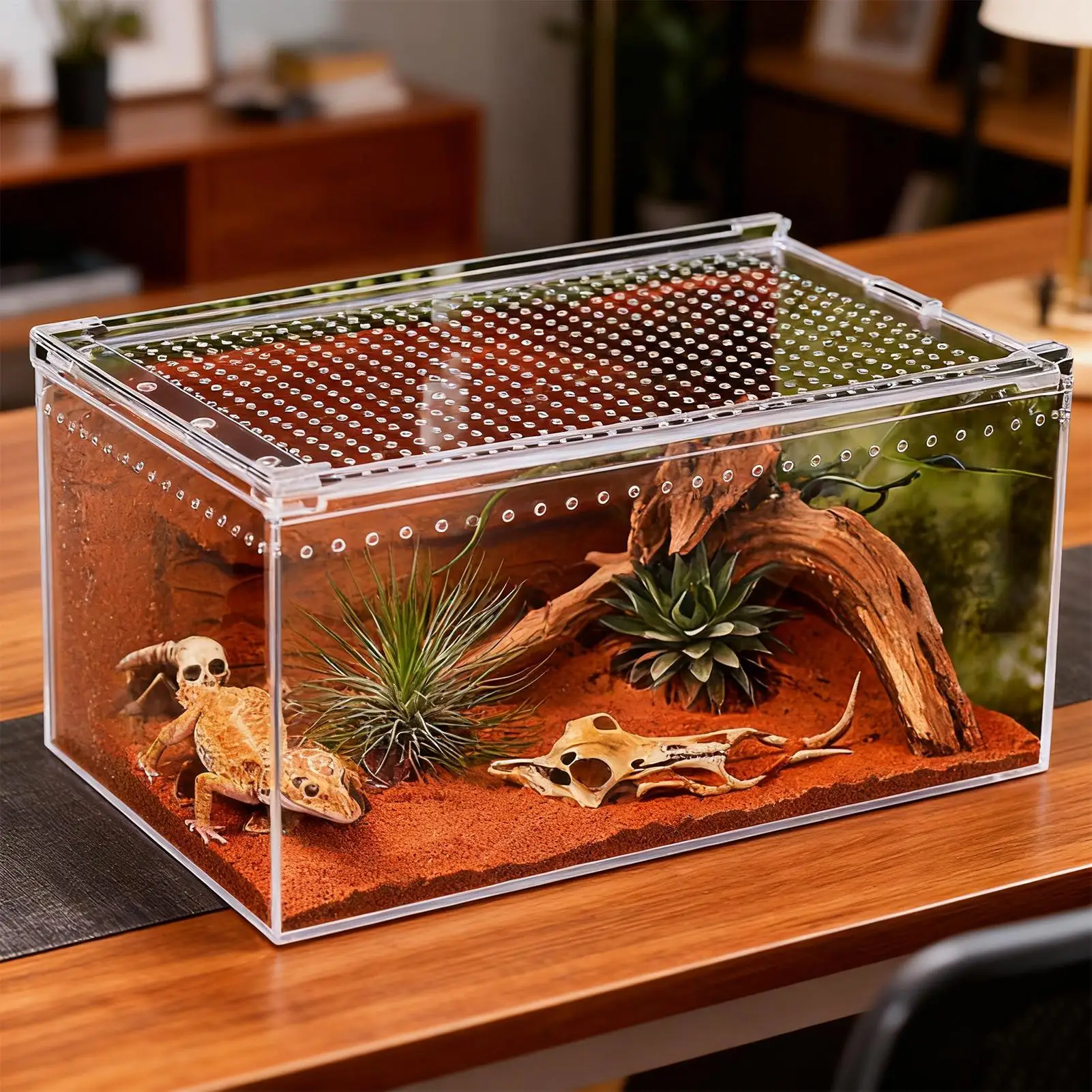 

Reptile Enclosure Escape-Proof Acrylic Reptile Habitat Frog Habitat Reptile Terrariums Tarantula Tank For Frog Lizard Gecko