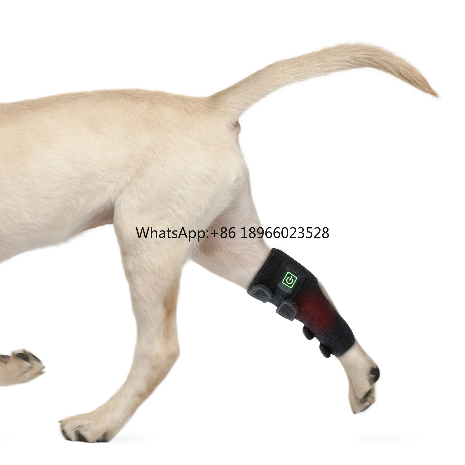 

Anredar 660nm 850nm near infrared red light therapy pad 0 EMF for dogs cat pet pain relief