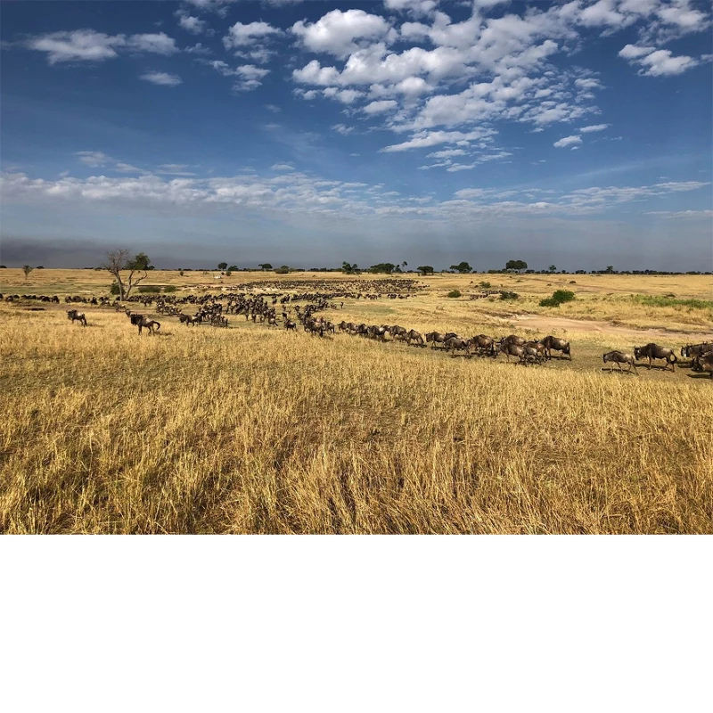 

Foldable Front Windshield Sun Shade For Hyundai Palisade UV Reflective Sun Protection Cover Car Interior Accessories