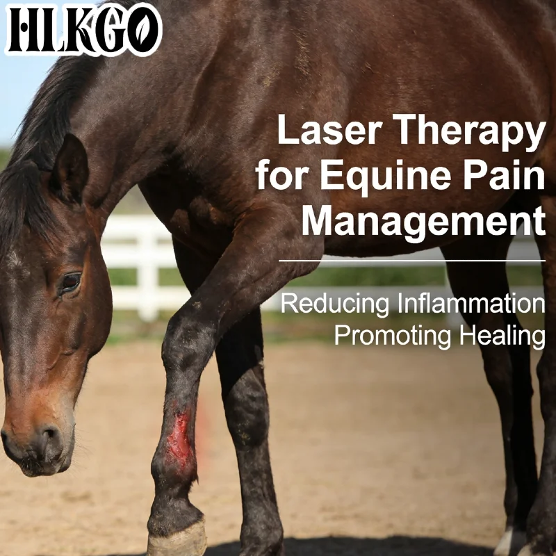 

Премиум-лазер с 25 диодами 808 нм, холодный лазер, красная и ближняя инфракрасная светотерапия для людей и животных, для лечения боли, артрита, тендинита, бурсита