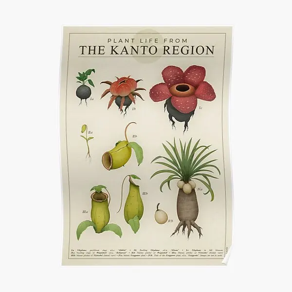 Plant Life From Kanto  Poster Decor Funny Room Print Painting Vintage Wall Home Art Picture Mural Decoration Modern No Frame