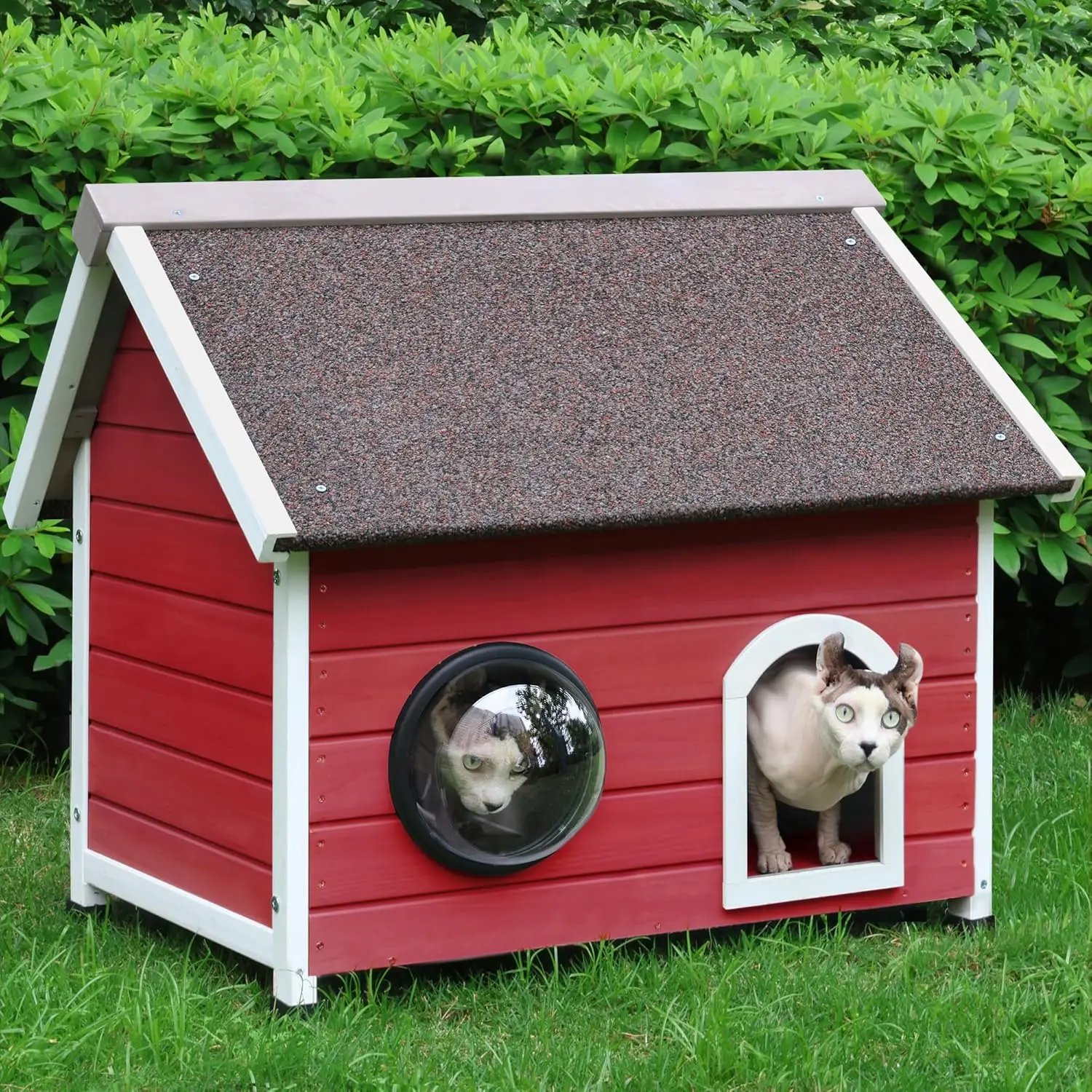 Imagem -04 - Outdoor e Indoor Cat House Kitty House com Porta de Escape para Gatos Isolados Telhado Intempéries Villa Cage