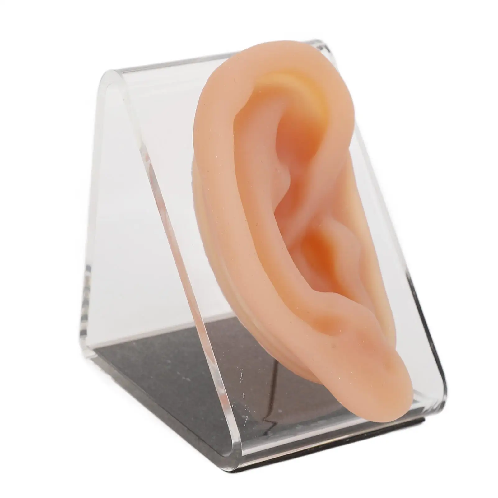 

Soft Simulated Ear Model for acupuncture Learning Portable Skin Friendly Odorless Safe with Stand