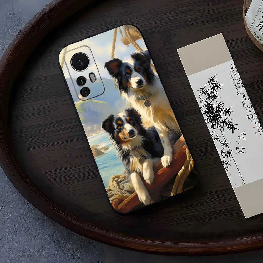 Cute Border Collie … - image