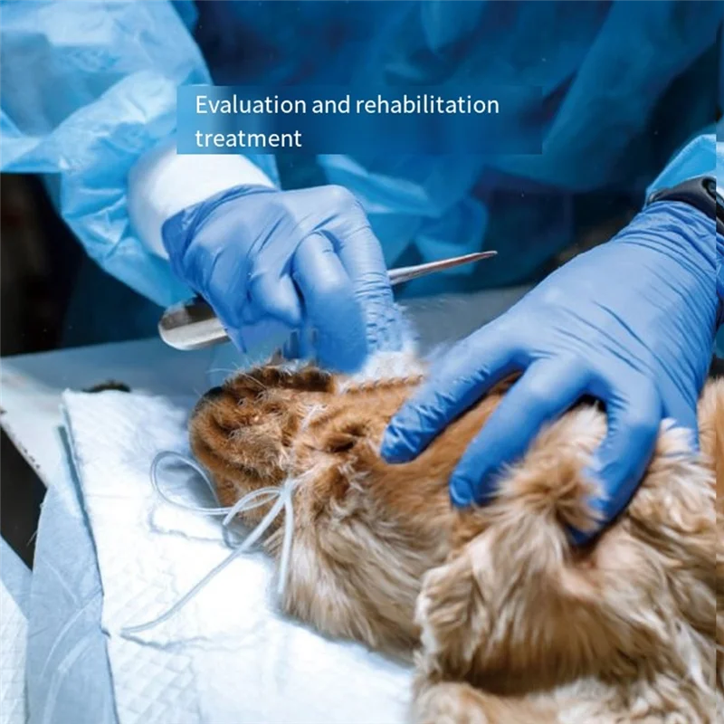 a25f-positionneur-sous-vide-pour-animaux-de-compagnie-attelle-d'immobilisation-a-rayons-x-pour-chats-et-chiens-fournitures-de-support-de-diagnostic