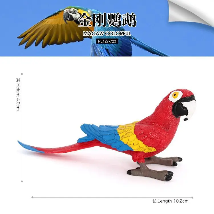 Cross-border solid simulation wildlife, bird model, bird macaw, children's early education cognitive toy ornament