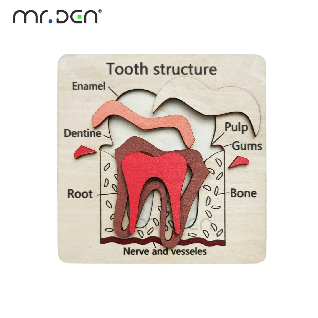 Juego de Exploración Dental, R - Board Game For Kids reseña y precio