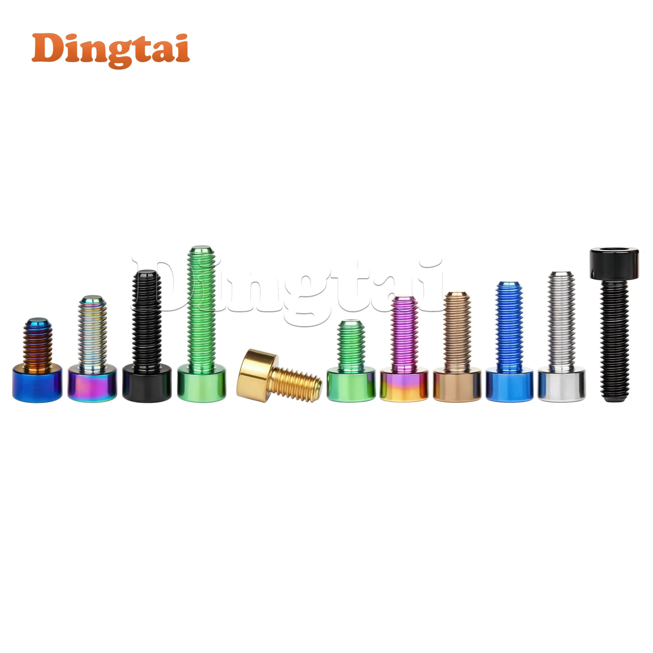 Dingtai Titanium Bolt 5/10 PCS M3/M4x6/8/10/12/15/18/20mm Stigma Hex Head Screws for Bicycle Titanium Fasteners