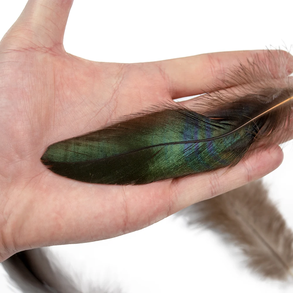 50 قطعة ريش الديك الجميل 15-20 سنتيمتر/6-8 بوصة الدراج الطبيعي بلوم DIY بها بنفسك مجوهرات الزفاف اكسسوارات الديكور الحرف #3