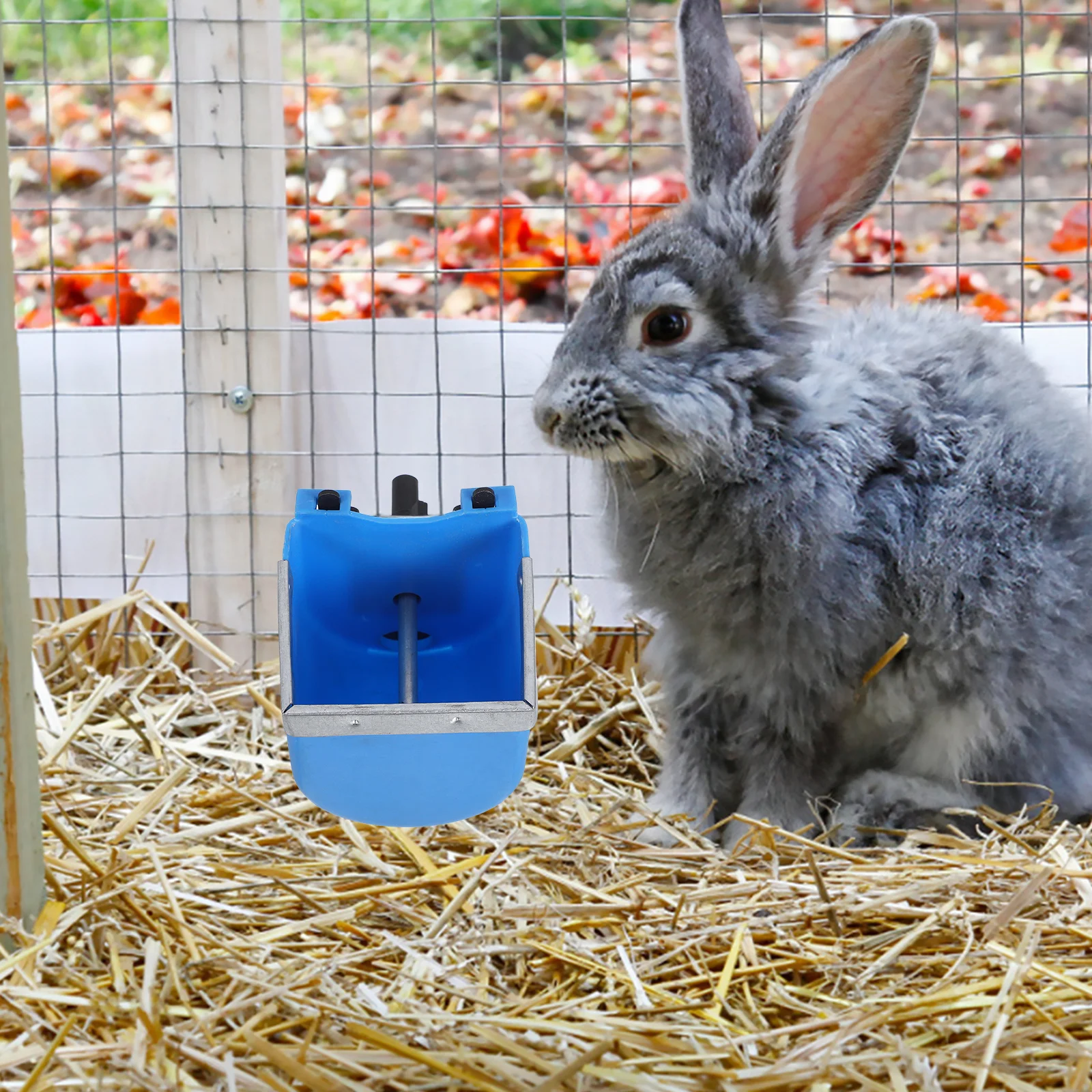 

Stainless Steel Rabbit Automatic Drinking Bowl Water Dispenser for Cage Home Farm Pet Feeder Rabbit Water Dispenser