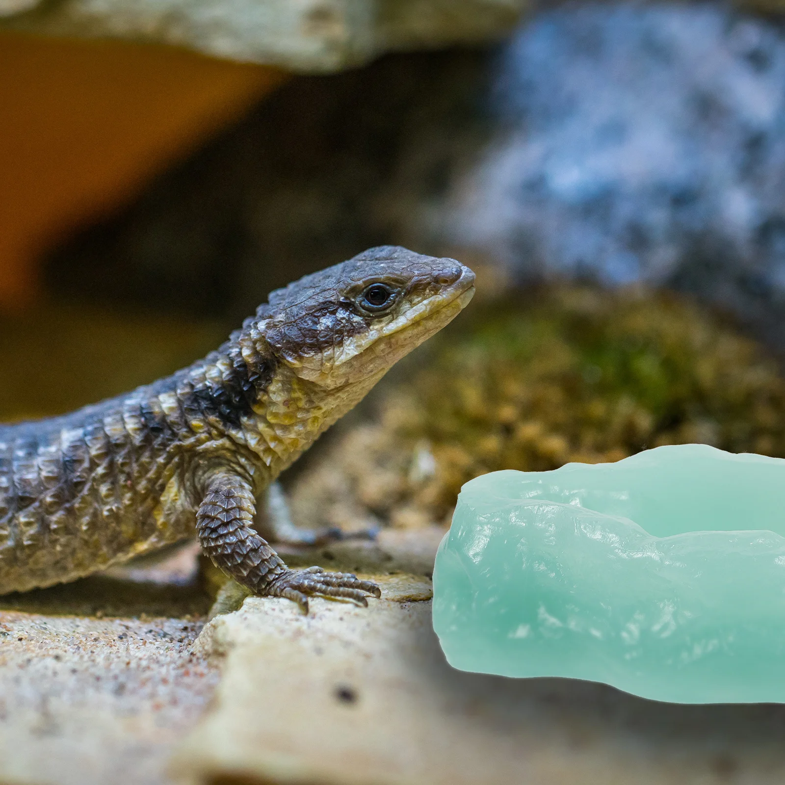 

Luminous Reptile Water Bowl Resin Feeding Dish for Lizards Turtles Glow Night Reptile Food Container Non-Slide Pet Accessory