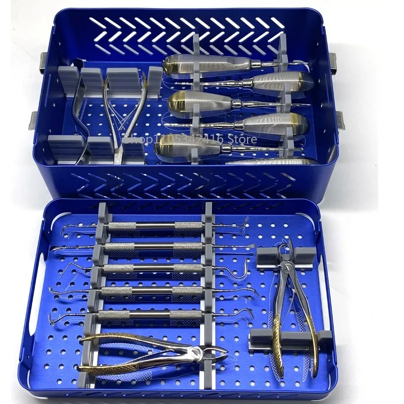 Grade High Quality Veterinary Dentistry Surgical Dental Instrument Kit Professional Oral Surgery Tools for Pet Dental Care