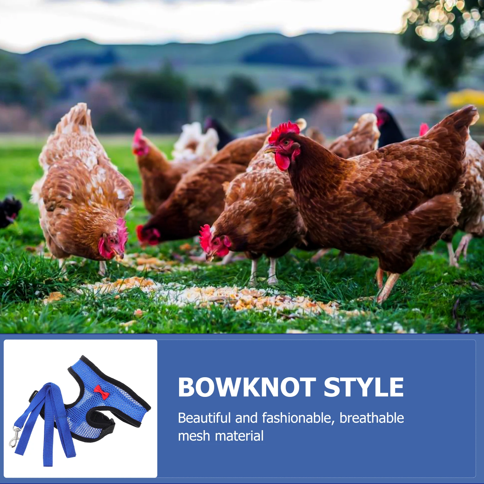 

Breathable Chest Strap Chicken Harness Bird Leash Chickens Harnesses Poultry Care Supplies Vest