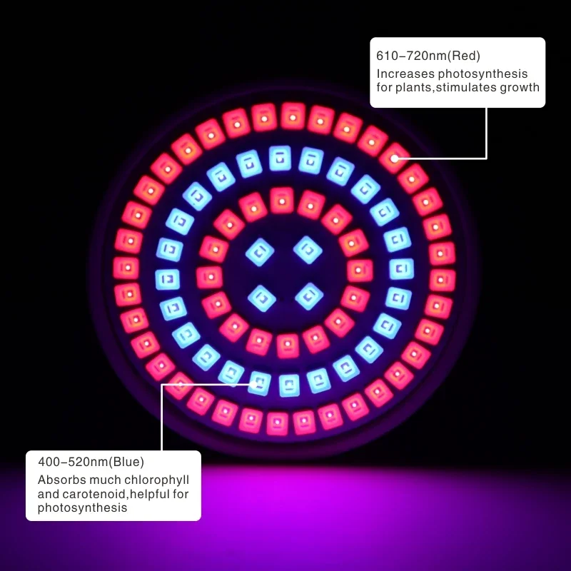 Bombilla Led de crecimiento hidropónico, lámpara de espectro completo para cultivo hidropónico de plantas y flores, E27, E14, GU10, MR16, B22, 220V, 3w, 4w, 5w