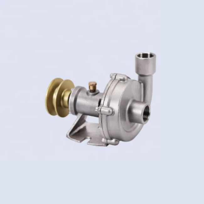 قطع غيار محرك الديزل البحرية 2 بوصة مضخة مياه البحر الكهربائية لوعاء سفينة القوارب