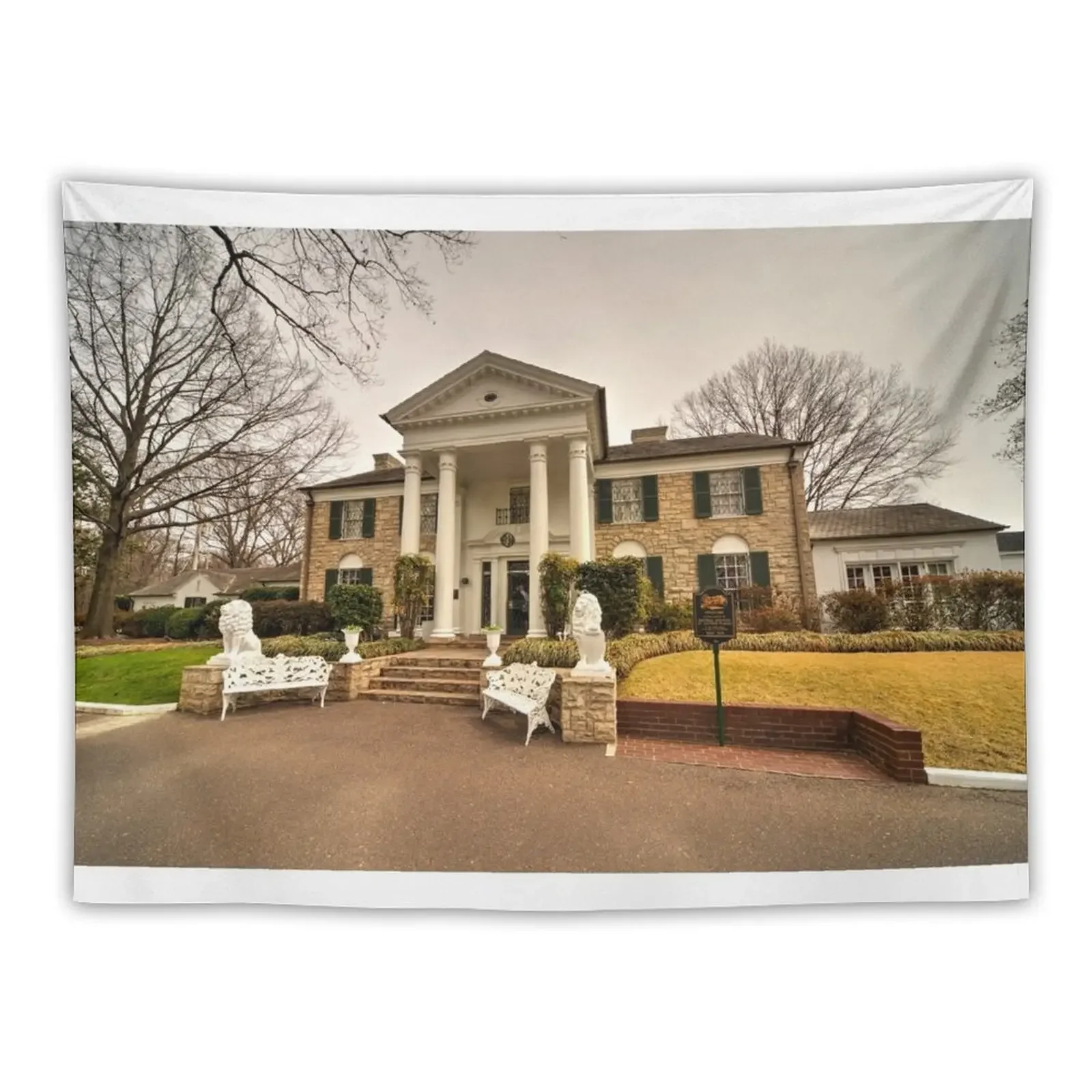 Graceland гобелен, ковер на стене Декор для спальни настенные гобелены гобелен с изображением гриба
