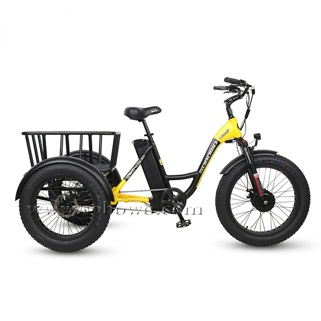 48v 350w Customized Fa t Tire Adult Electric tricycle High Quality Three Wheel Electric Tricycle