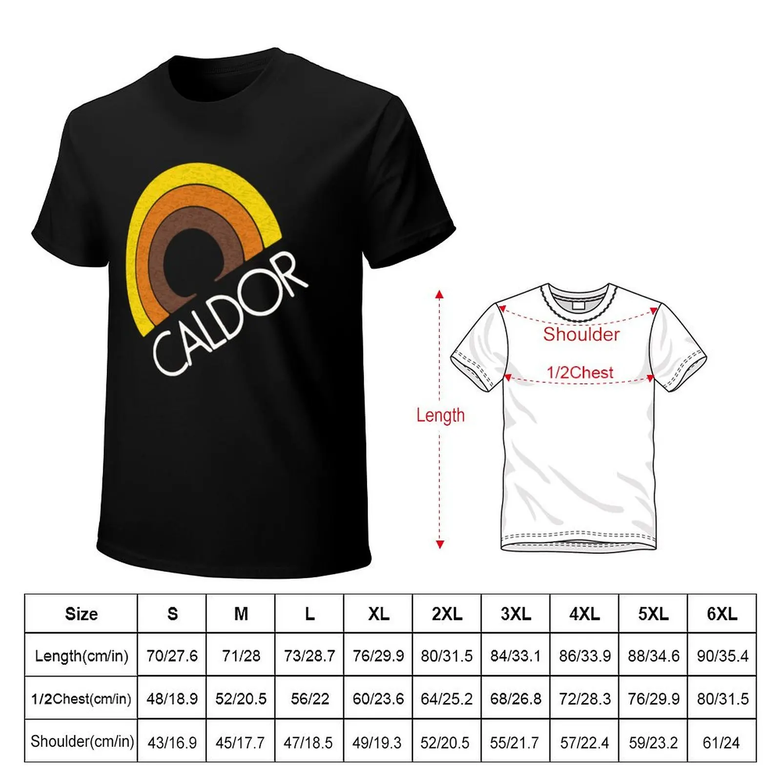 Caldor Discount T-Shirt Athletic Quick Dry T-Shirt for Men