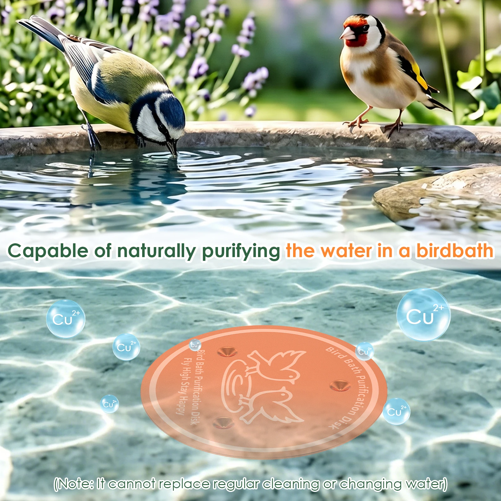 Vogelbad-Kupferscheibe zur Wasseraufbereitung mit Dreipunkt-Halterung für Vogeltränke-Zubehör – Detail 3
