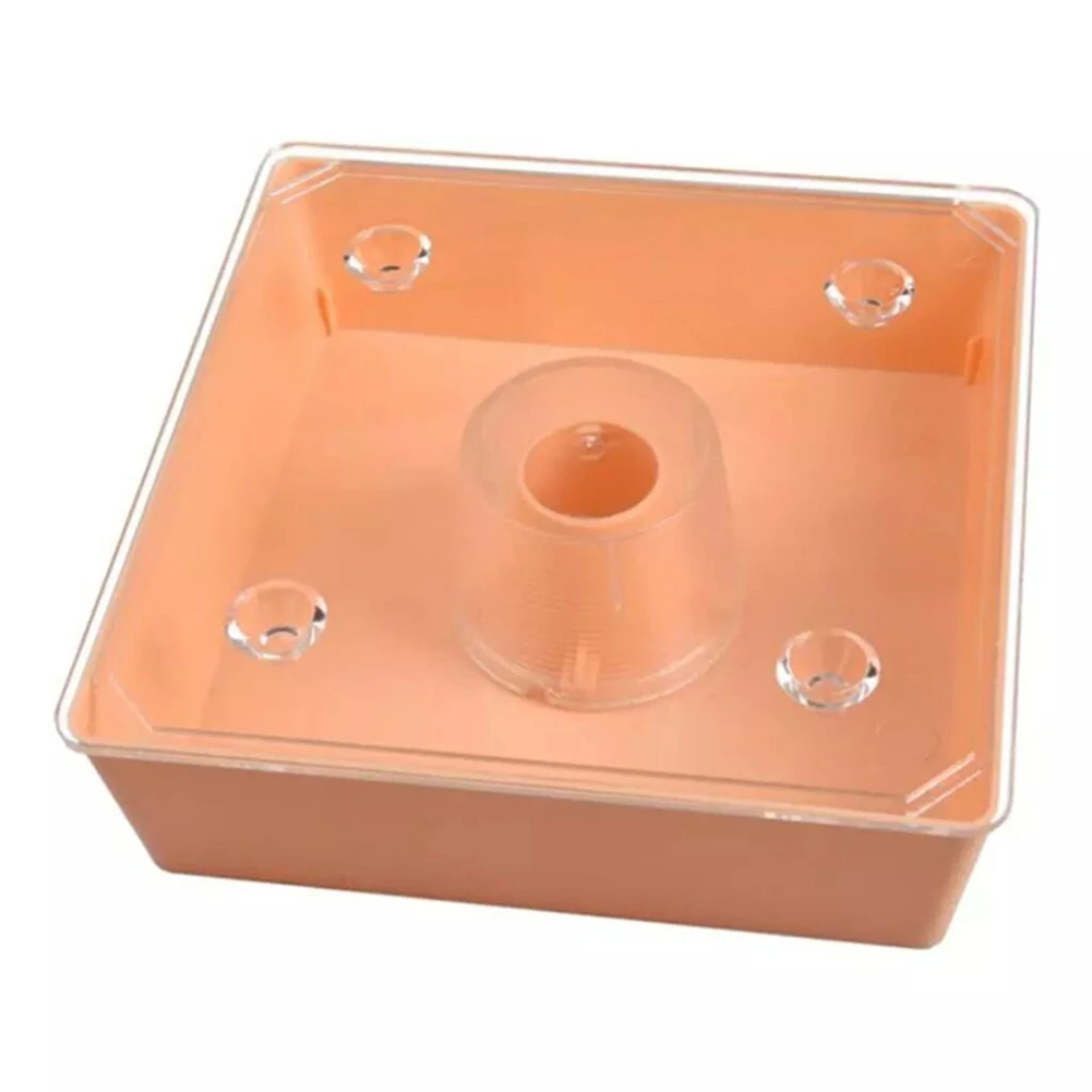 AA83 Bee Feeder Square 2 Litres Beehive Top Feeder Beekeeper Tool Beekeeping Feeder with Transparent Cover Pre-Assembled