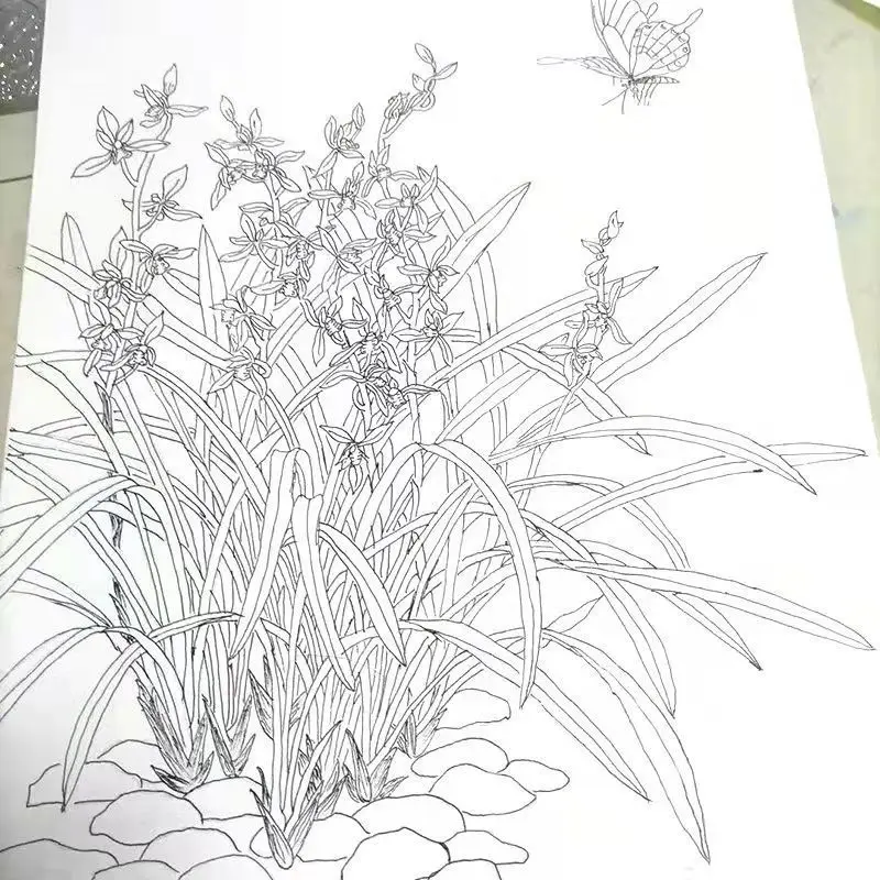 Child Line Drawing Practice Book Chinese Meticulous Painting Manuscript Flower Bird Color Book Getting Started Copy Line Draft