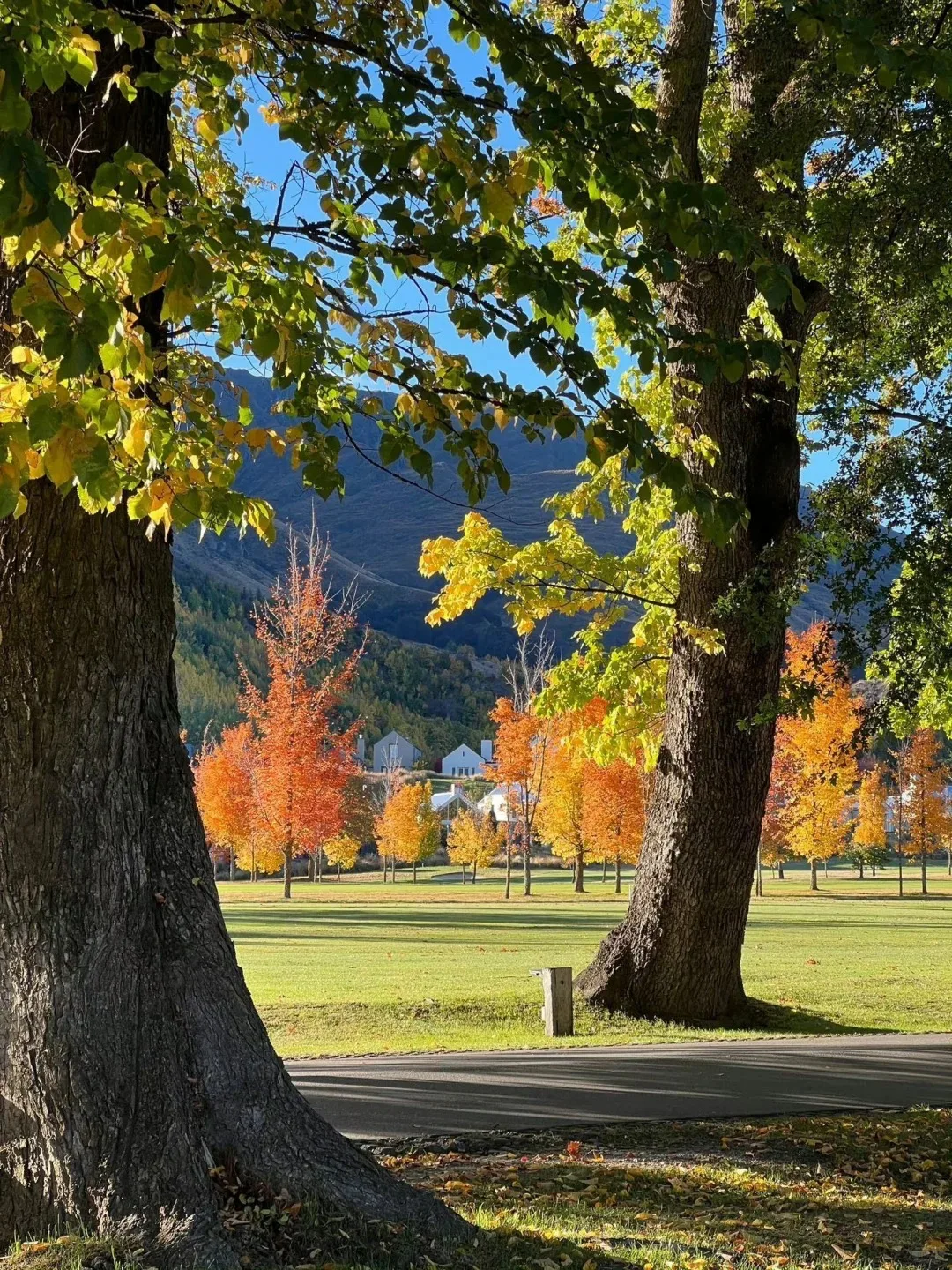 

Car Multimedia Player GPS Android 14 For 2022 TOYOTA LAND CRUISER PRADO VXR 2018 2019 12.1 Inch Navigation Stereo Head Unit