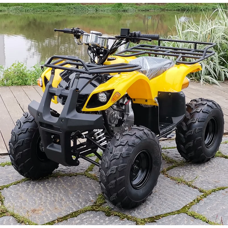 

125cc Automatic Chain Drive 4-Stroke 2WD ATV Quad Bike Four-wheeled Motorcycle