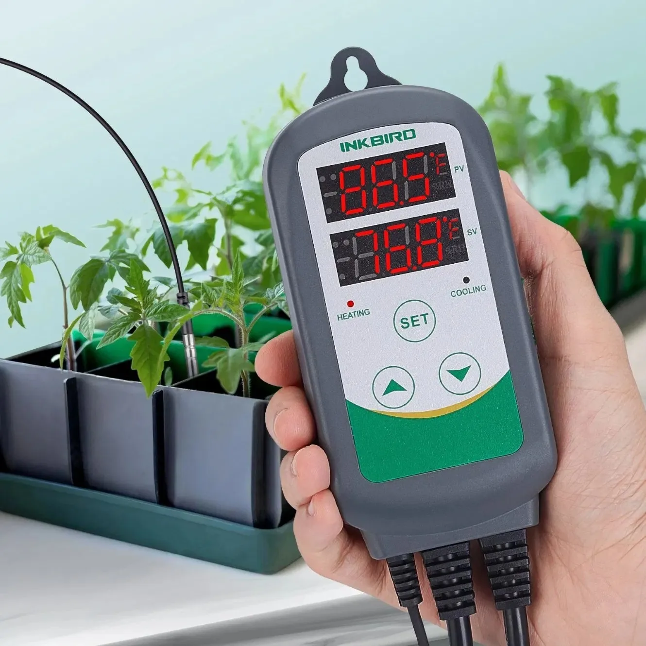 Inkbird ITC-308-WiFi Smart Thermostat Temperature Controller for Home Brewing Aquatic Breeding - WiFi Enabled