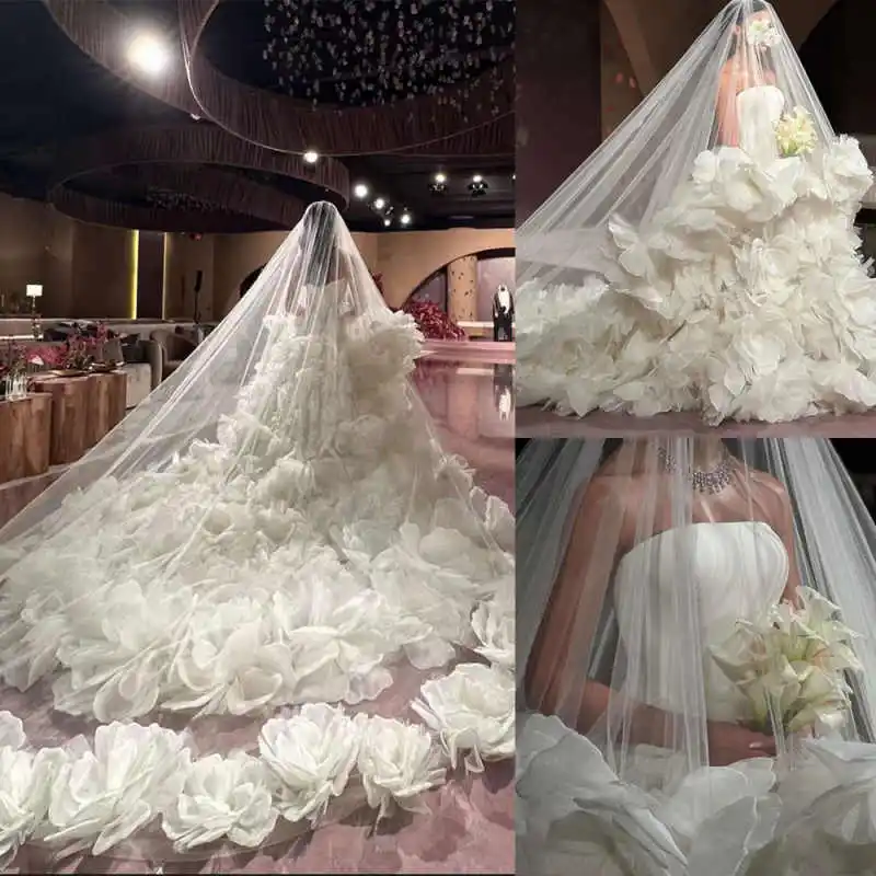 Exquisite Lace Veil Bridal Cathedral Wedding Accessories White Veil With Colorful Appliques Metal Hair Comb Custom Made Veil