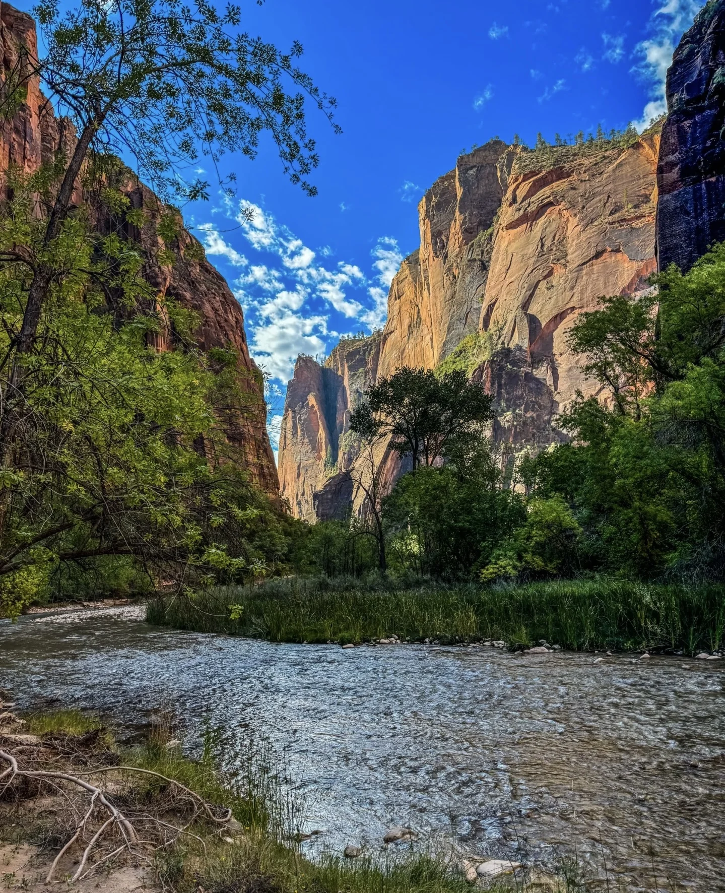 

NEW 22D Beauty SPA Machine Body Tightening Burning Fat Skin Firming Slimming Body Sculpt HOT