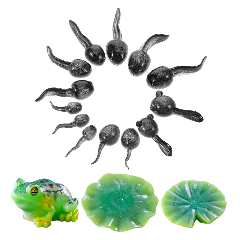 16 pezzi micro animali paesaggistici rane in resina in miniatura e per terrario fai da te artigianale muschio paesaggistico giardino fatato