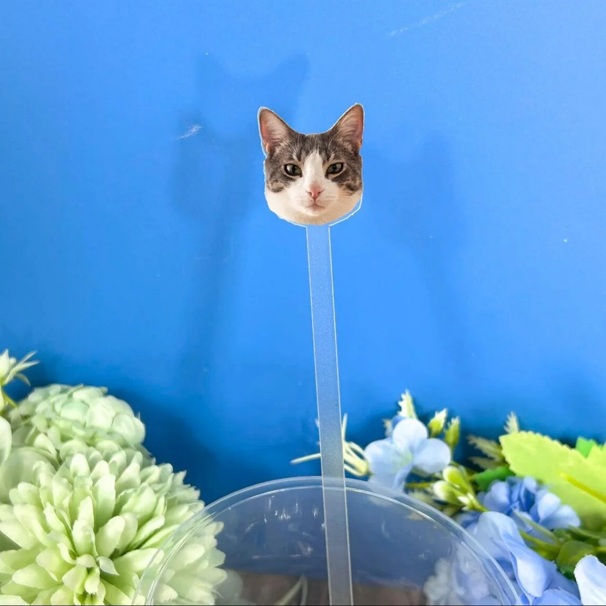 

Свадебные палочки для перемешивания домашних животных, 50 шт. двусторонняя палочка для перемешивания собак, акварельные акриловые мешалки для коктейлей, свадебное плавание, свадебное платье