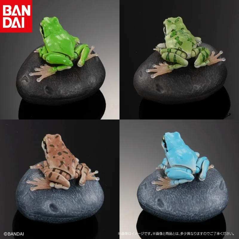 BANDAI Simulated Animal Model Rhacophorus Hylachinensis Different Style Models Active Joint Action Figure Desktop Decoration