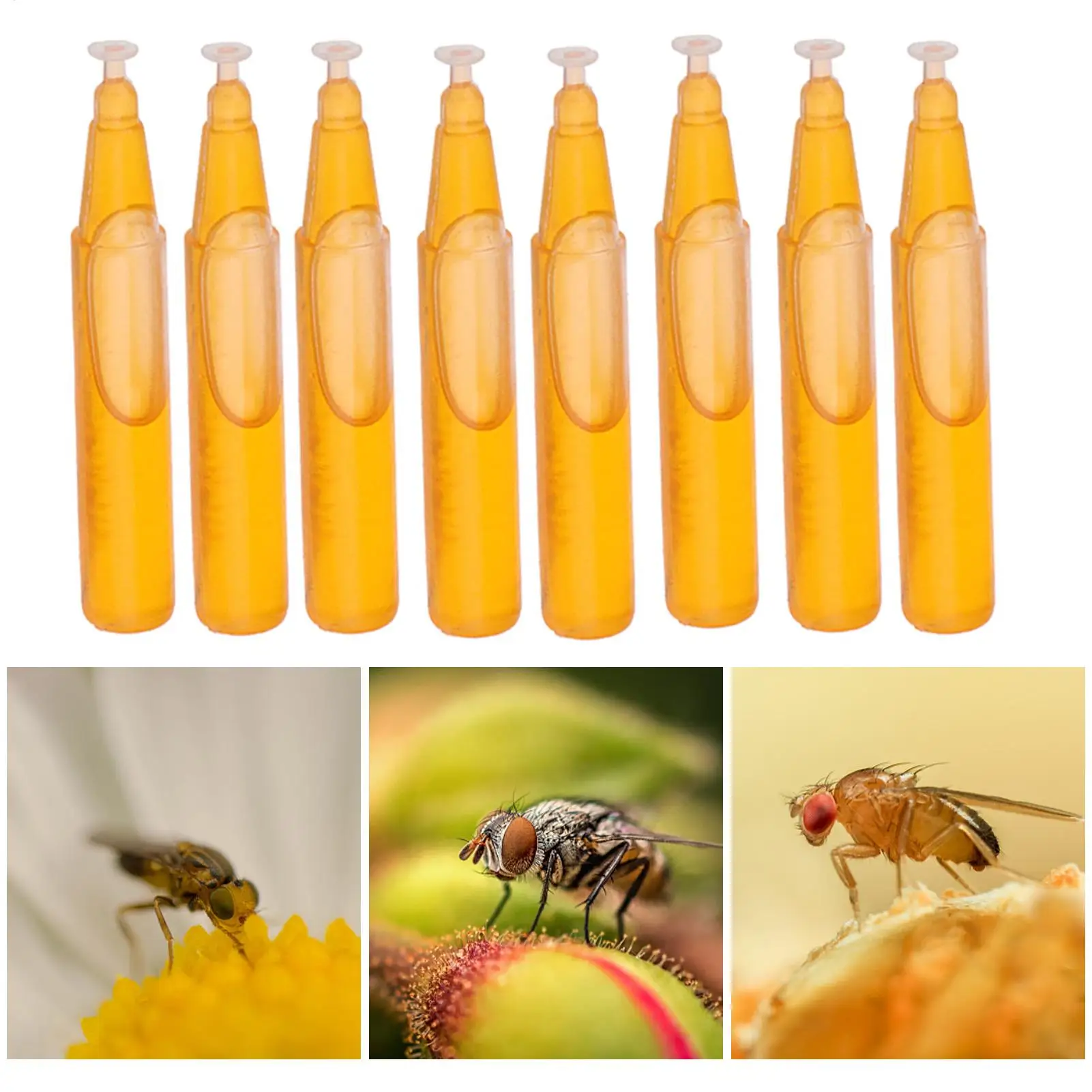 Fruit Fly Attractant Fruit Fly Trap Killer 2ml Drosophila Trap Fly Catcher Liquid For Home Farm Orchard 10PCS Trapping Tools