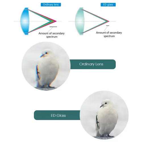Imagen 2 del producto Svbony SV202 8X32/8x42/10x42/10X50 ED binoculares IPX7 impermeable binoculares de largo alcance BAK4 para observación de aves observación de estrellas Camping