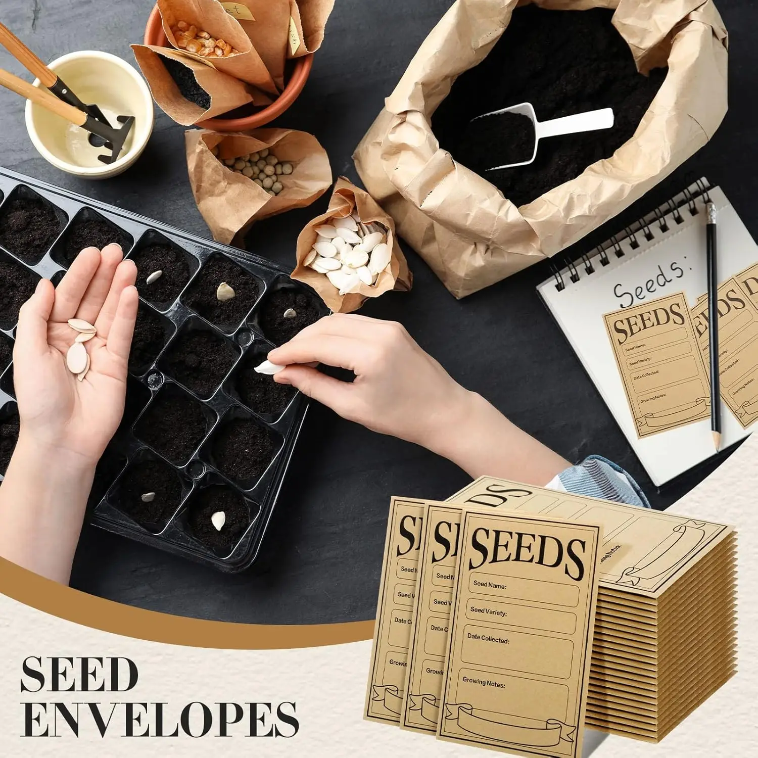 50/100/150 قطعة من مظاريف البذور، عبوات البذور القابلة للإغلاق 3.15 × 4.72 بوصة، مظاريف توفير الختم الصغيرة الآمنة (بني)