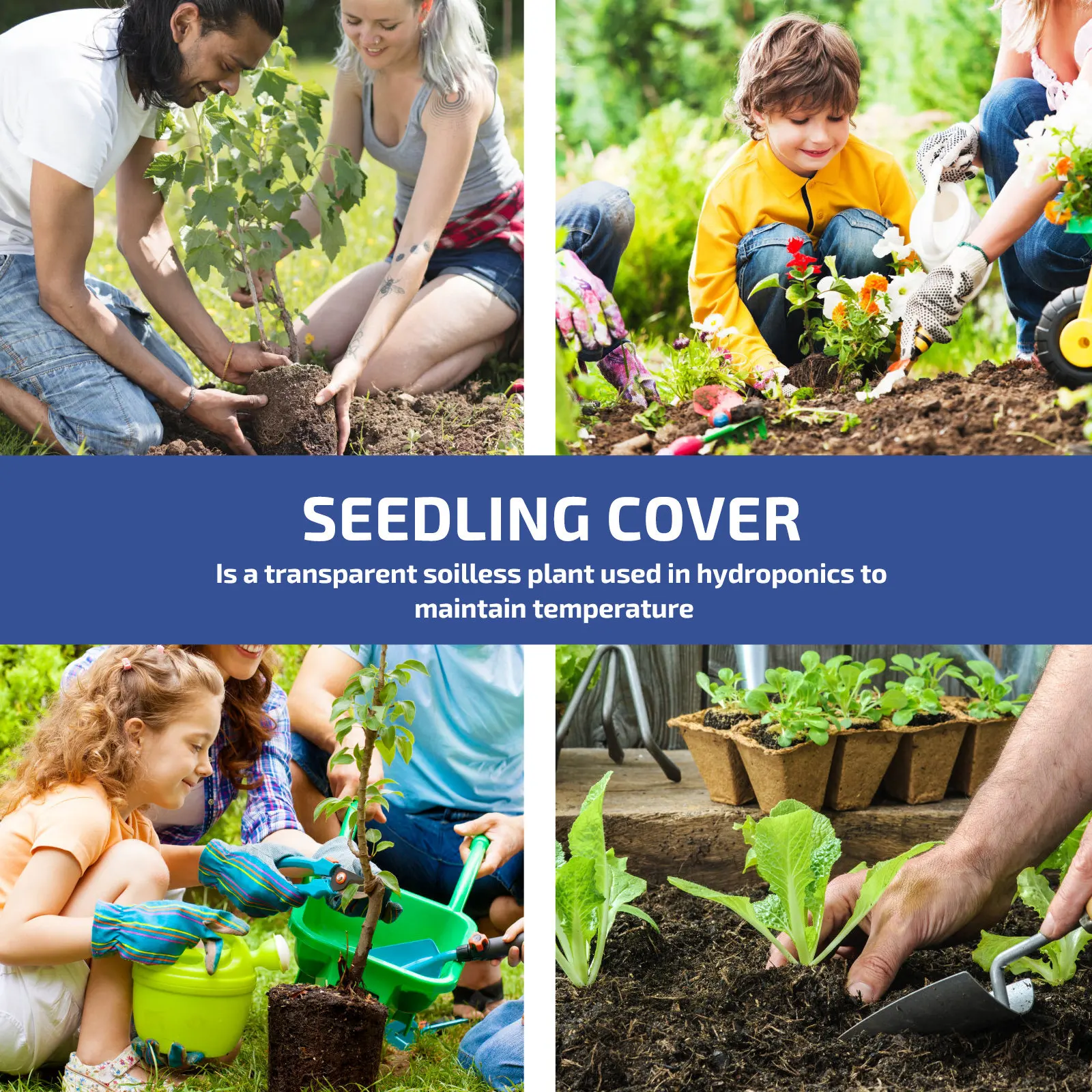 

50Pcs Seedling Dome Covers for Hydroponics Transparent Soilless Plant Growing Lids Premium Plastic Garden Cultivation Grow Caps