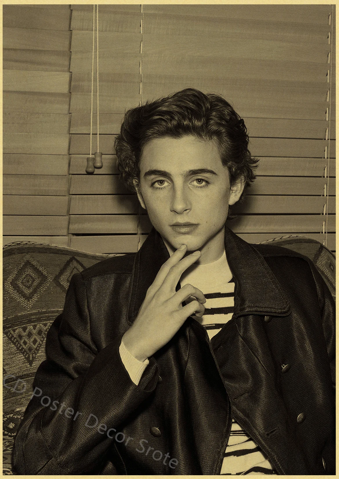 Timothee Chalamet Retro Canvas Painting Poster Prints Posters Home