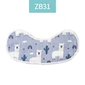 ZB31