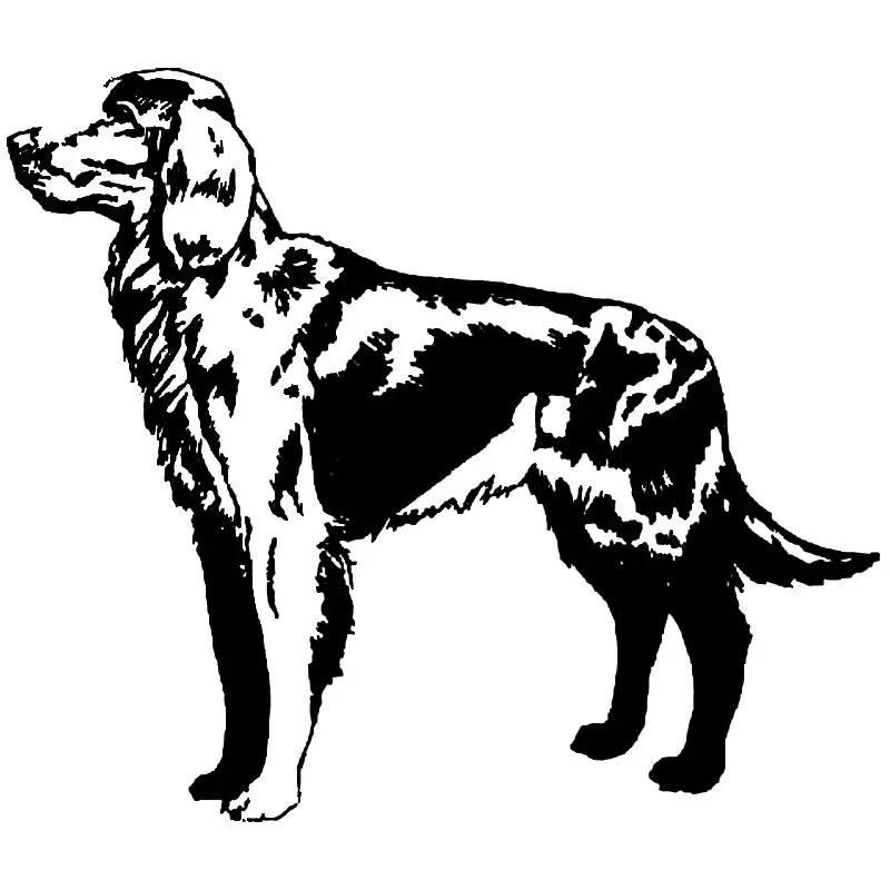 

Car Stickers Cute and Interesting Pet Dog Car Decoration Accessories Decal Sunscreen Waterproof Black and White, 14cm*12cm