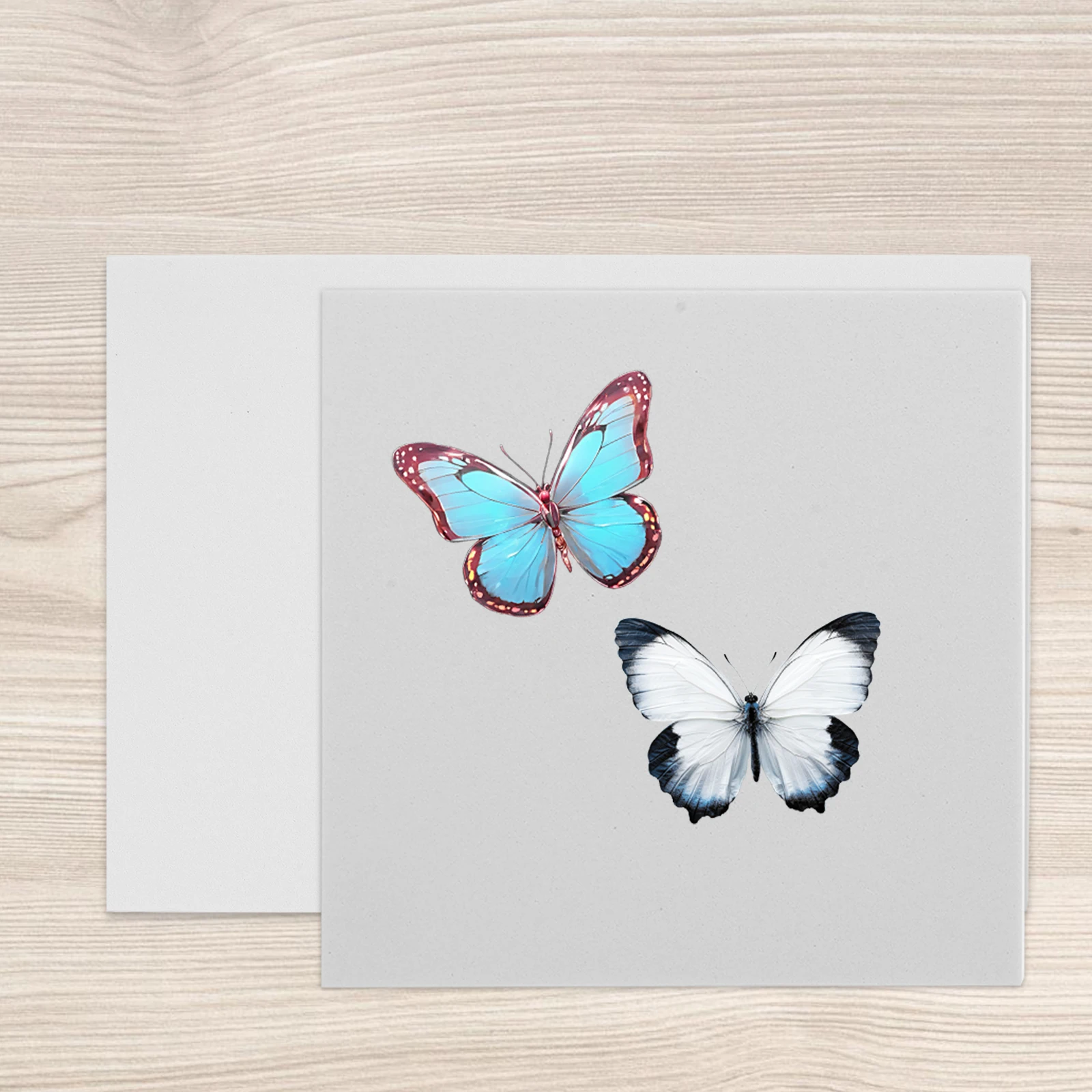 

Fin Spread Board Display Tools Insect Mounting Butterfly Spreading Pinning Specimen