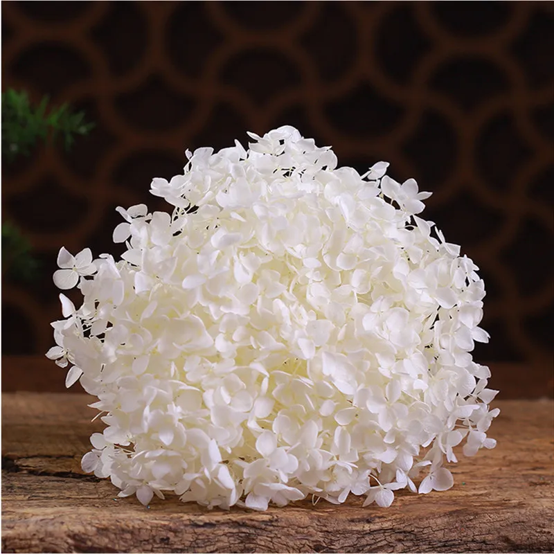 

Natural Champagne,White,Pink Anna Hydrangea Single Immortal Bouquets For Wedding Room Decoration, Valentine's Day Gift