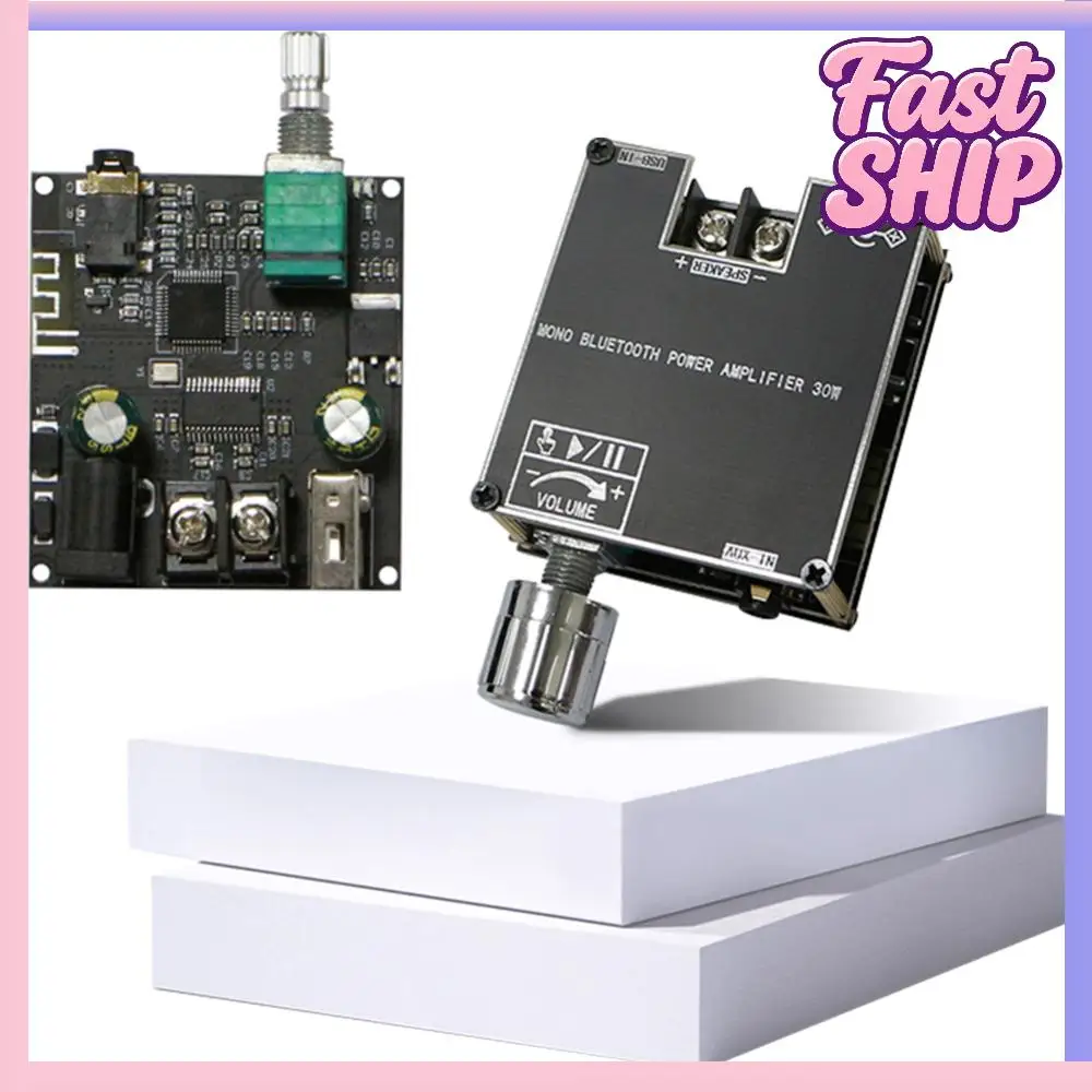 ZK-301B Mono 30W Am…