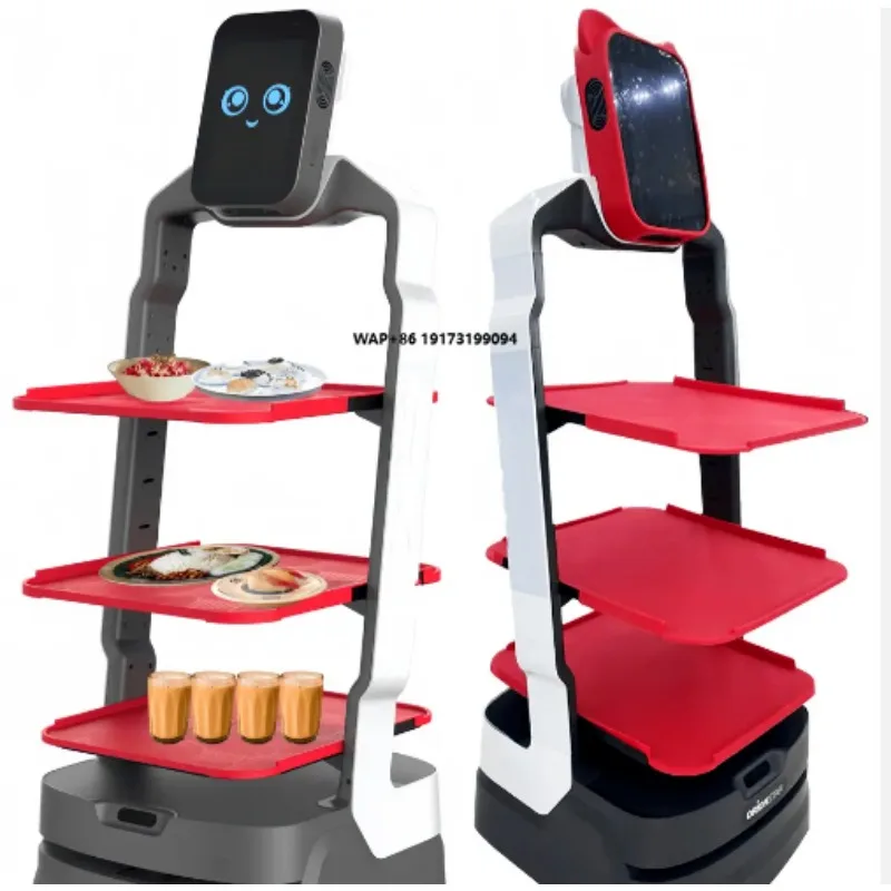 Large Intelligent Multi-Function Robot for Hotels Restaurants Catering