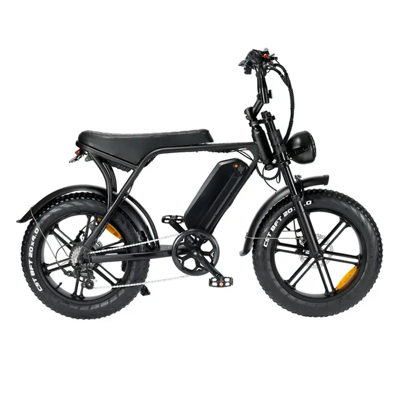 Electric Bicycle Electric Fat Tire Bike Top Factory  V8 Fat Tire Bike Double disc brake Mountain Bike Vintage