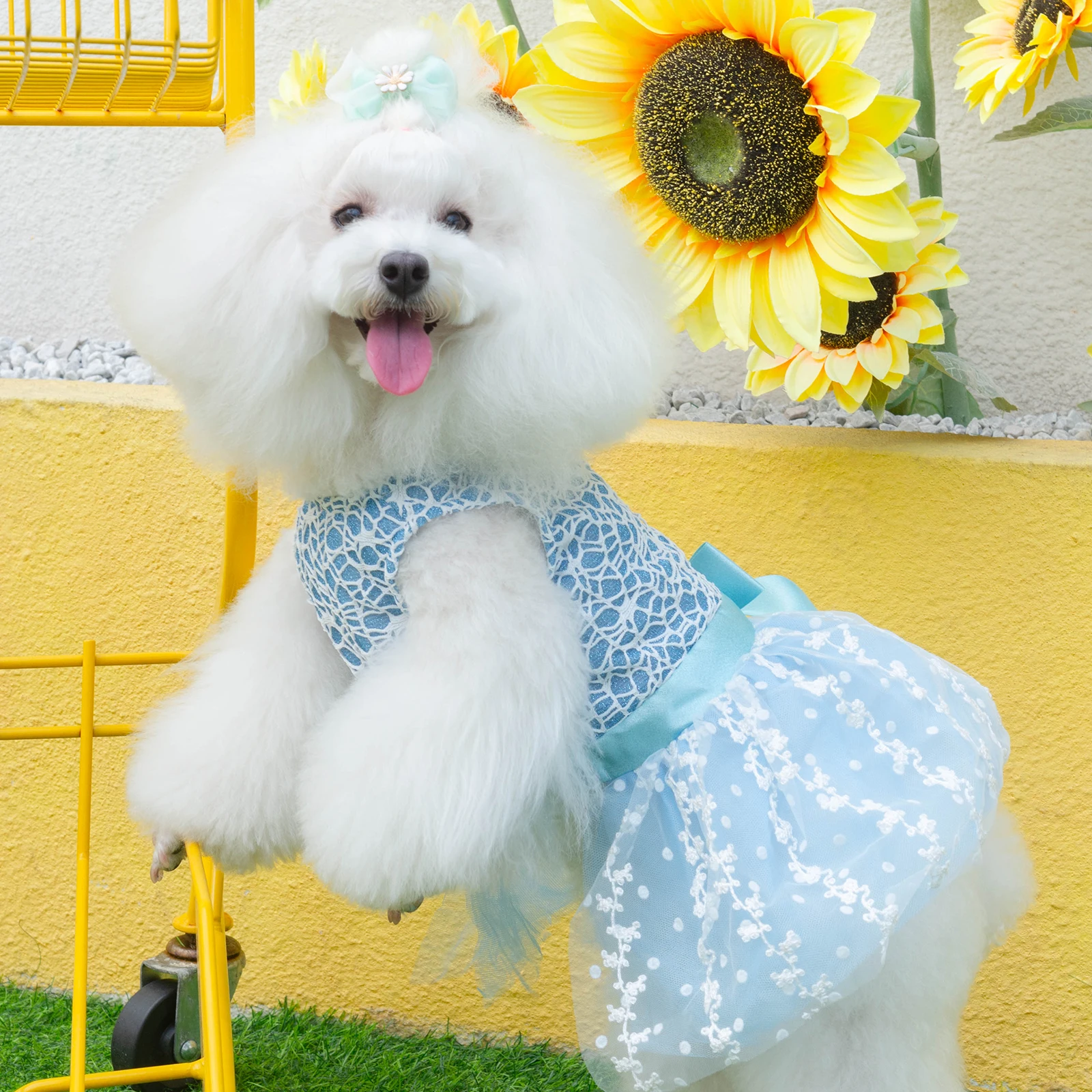 U Pick CuteBone Girl Puppy Dog Dress Fashion Dog Skirt Outfit Popular Pet Clothes Gift for Small Dogs