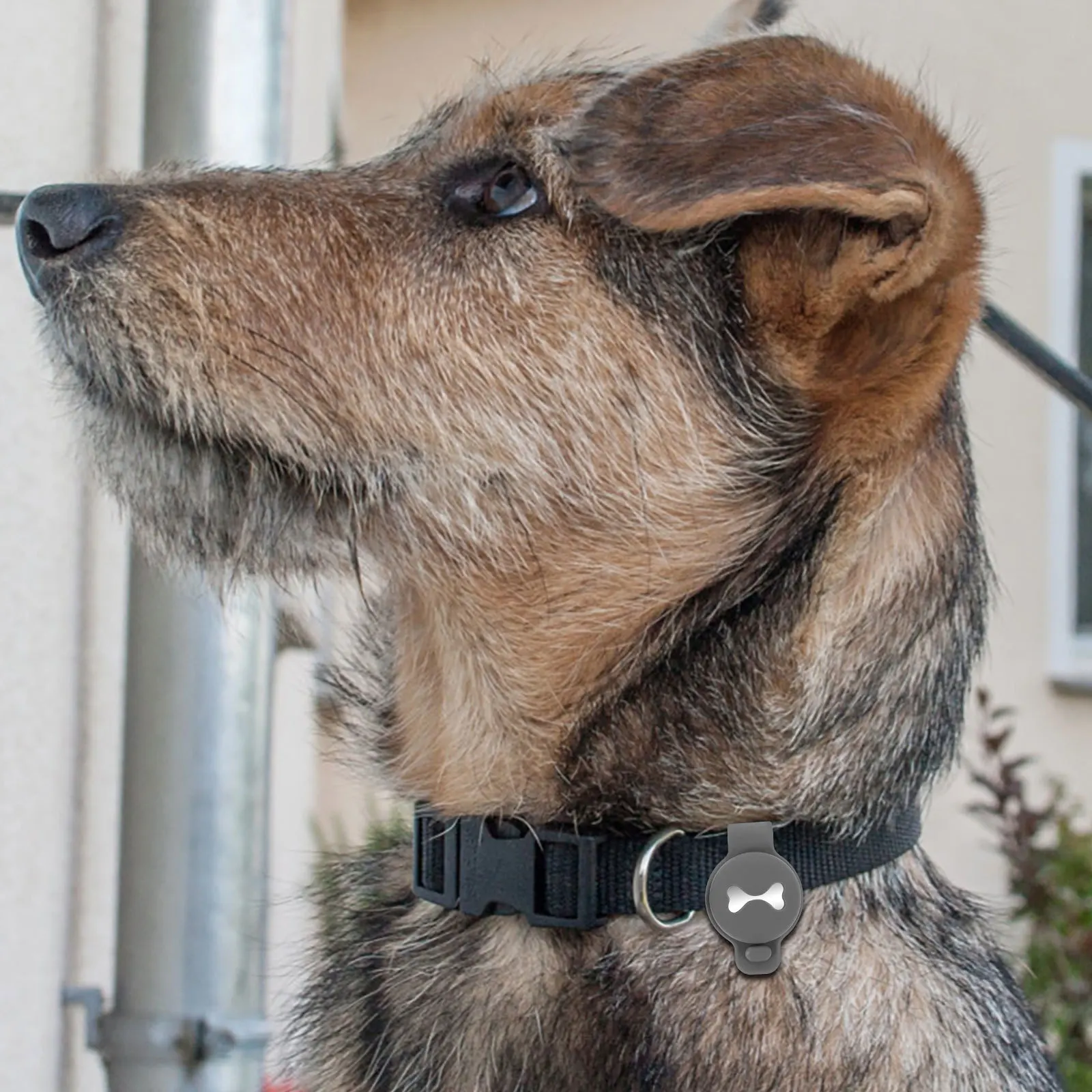 

2pcs Dog Bone Pattern Protective Cases For Wear-Resistant Scratch-Proof Tracer Sleeves Anti-Lost Pet Tracking