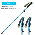 2Pcs Short Sky Blue